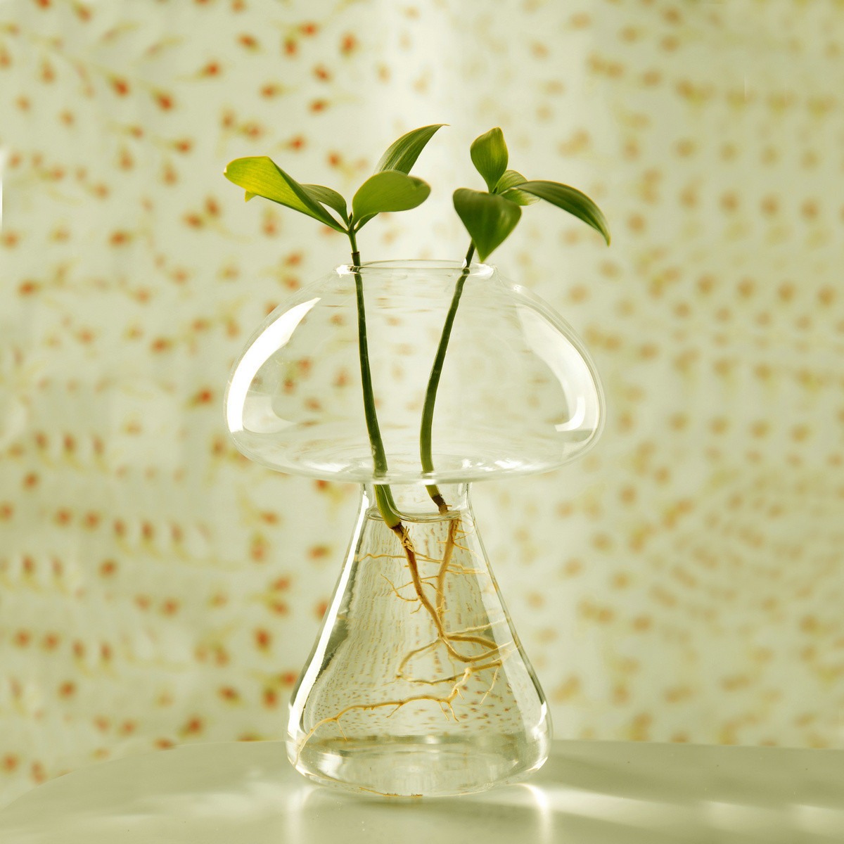 日式玻璃花瓶创意蘑菇水培器小清新玻璃花瓶ZAKKA家居小摆件花瓶