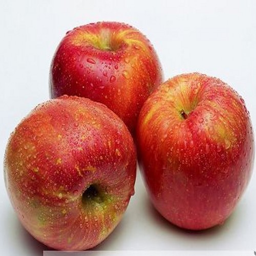 美国进口 新鲜水果 加利果 姬娜果 脆甜 最好吃的苹果 10颗包邮