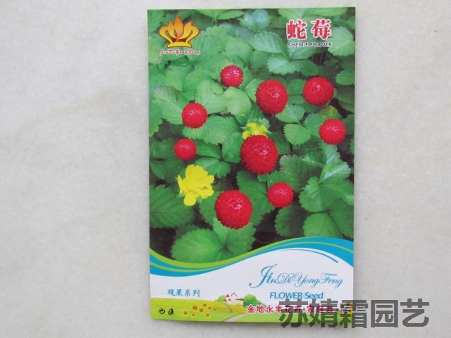 水果 观果 中草药 蛇莓种子【水果 中药种子40粒】