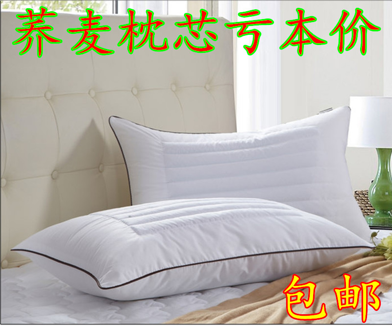 学生枕头 单人决明子枕芯 荞麦枕头保健枕芯  正头枕 荞麦皮