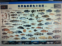 世界海鲜挂图 世界水产品挂图 鱼图片 世界海洋鱼类图片 水产图片
