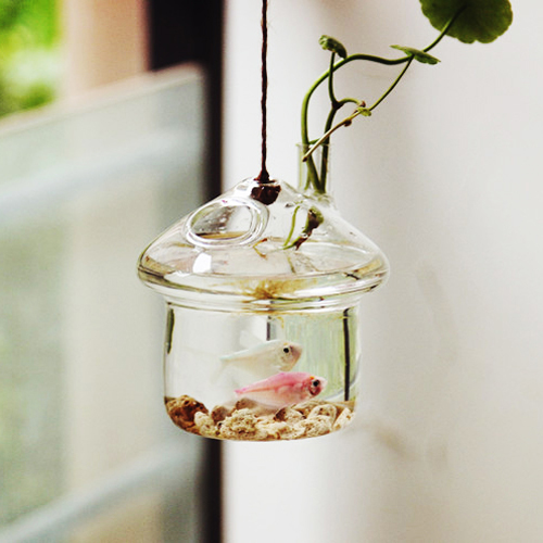 新款创意鱼缸 水培花瓶 玻璃 透明 日式蘑菇房悬挂花瓶 摆件特价
