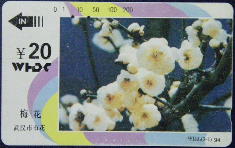 WDJ5(3-1)梅花-武汉市市花(1994)磁卡