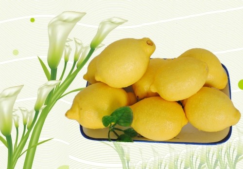 柠檬/南非柠檬/优质/新鲜水果/品质/深圳市区最快2小时送货上门