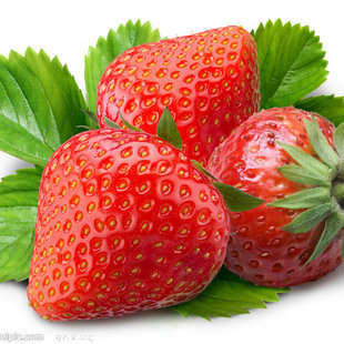 草莓种子 果实鲜红美艳 柔软多汁 营养丰富 30粒 满38元包邮
