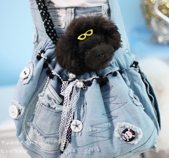 ABBY艾比时尚休闲街头风宠物包外出便携背包狗包猫包包泰迪比熊折扣优惠信息