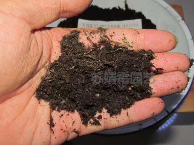 3袋包邮【营养土】 草炭土 高浓度不含沙土 【泥炭土、腐叶土】