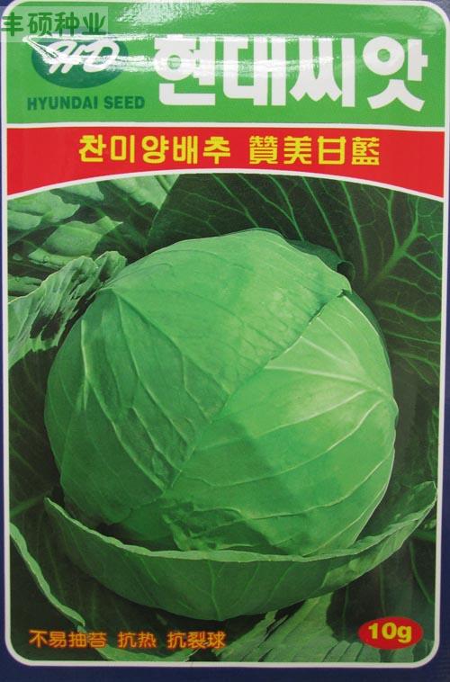 韩国进口 赞美甘蓝种子 不易抽薹 抗热抗裂球 高抗病 春夏秋播