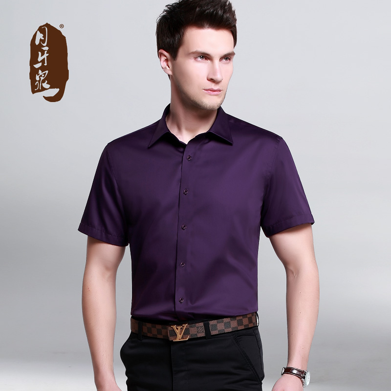 月牙泉夏装新款商务男装紫色短袖衬衫 男士纯棉韩版修身半袖衬衣