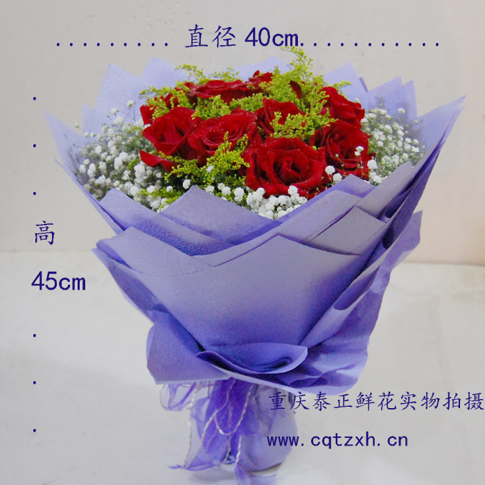 重庆泰正鲜花店实物拍摄 重庆花店送花 红玫瑰11枝 重庆鲜花特价