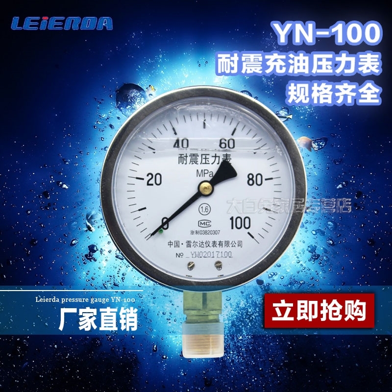 雷尔达正品 耐震压力表YTN-100(YN-100)抗震充油表(LEIERDA)