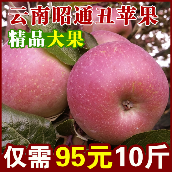 【精品大果】昭通丑苹果野生云南特产新鲜脆甜水果冰糖心10斤包邮