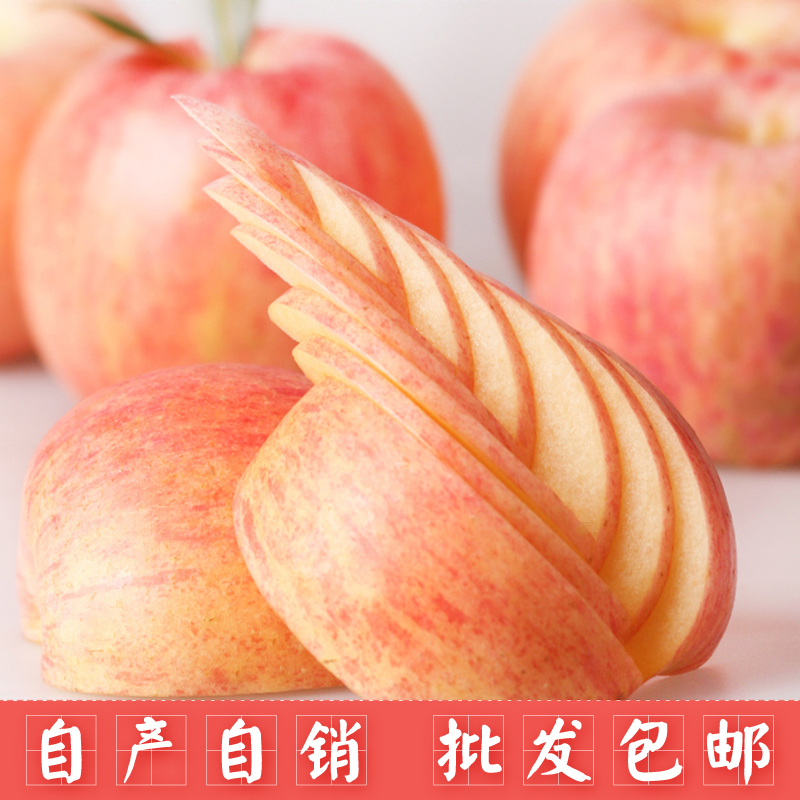 现货烟台苹果水果新鲜山东栖霞红富士苹果吃的小苹果一箱5斤包邮