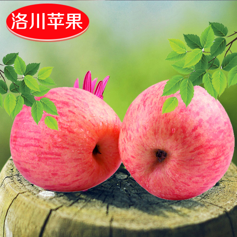 陕西正宗洛川苹果红富士苹果礼盒新鲜水果特产苹果非烟台嘎啦苹果