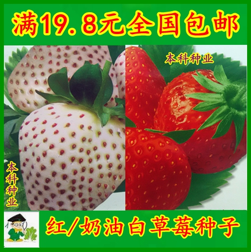 【奶油白草莓种子】【红草莓种子】蔬菜籽批发盆栽春秋四满包免邮折扣优惠信息