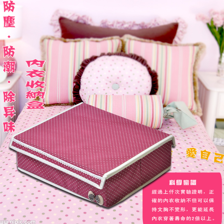 内衣收纳盒箱有盖创意多功能文胸内衣收纳盒韩版时尚绿色粉红色