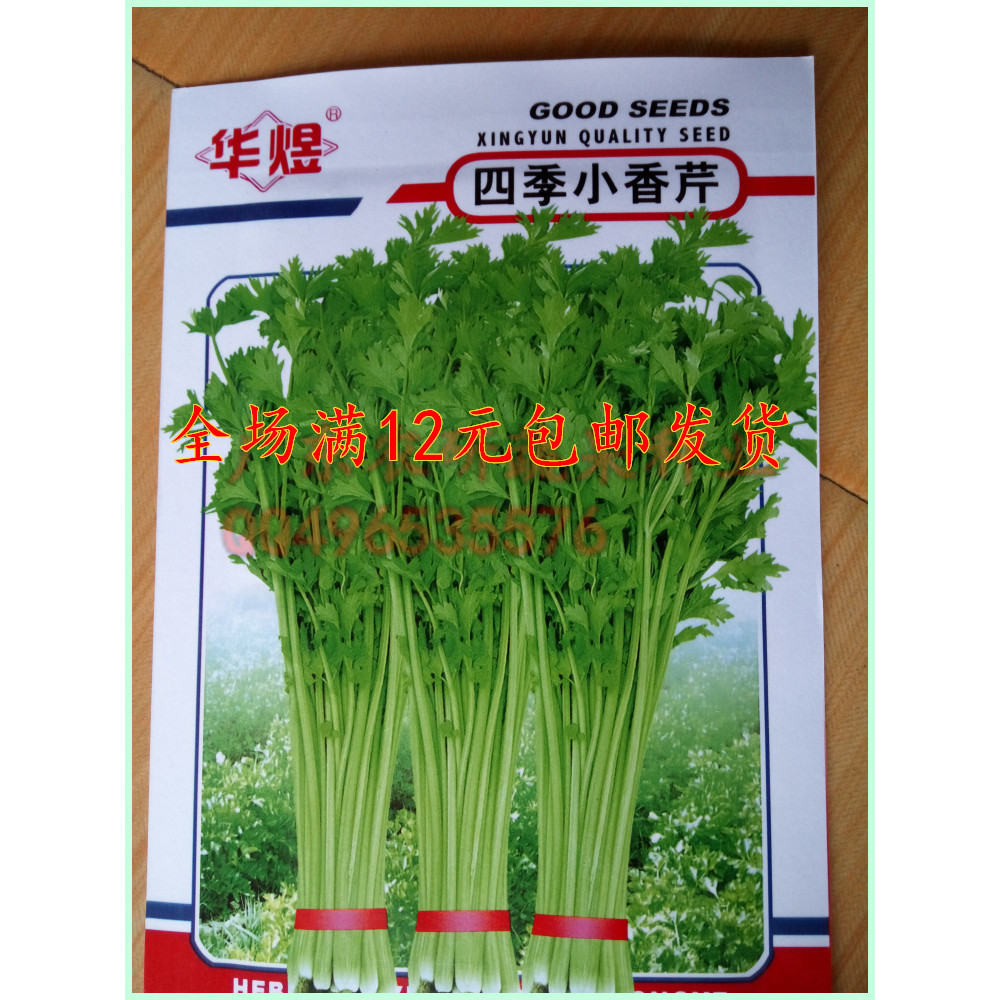 香芹菜种子耐热泰国原厂彩袋包装10克约几千粒蔬菜四季进口简单折扣优惠信息