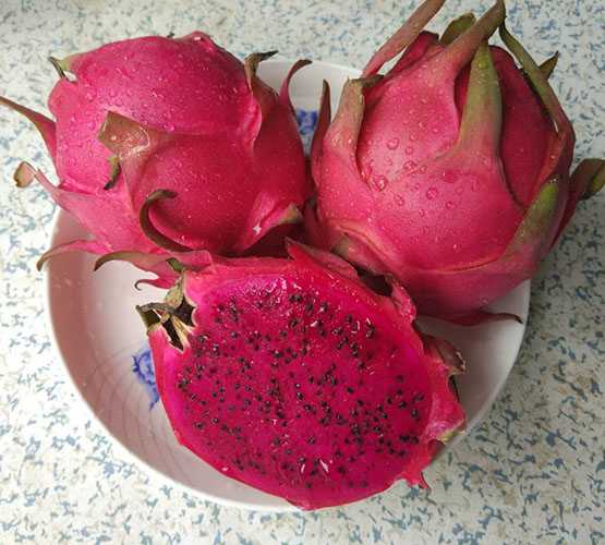 新鲜水果 孕妇果园直发红心红色火龙果比越南红肉火龙果甜