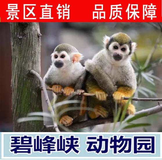 雅安碧峰峡门票 碧峰峡野生动物园含观光车+动物表演扫二维码入园