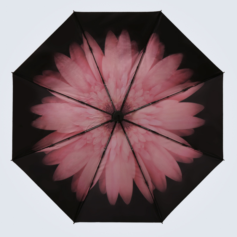 双层防晒太阳伞防紫外线遮阳伞小皱菊小黑伞折叠小碎花晴雨伞批发