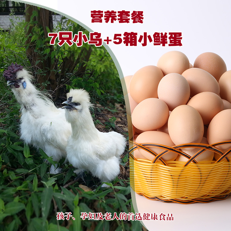 乌鸡*7+小鲜蛋*5箱 老人小孩孕妇高性价比营养套餐中华原种土鸡