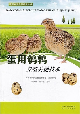 蛋用鹌鹑养殖技术  蛋鹑饲养技术大全书籍与光盘
