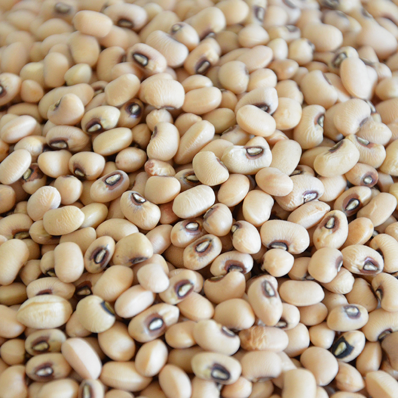 江西干货特产 农家有机大白豆 纯天然生态绿色食品 江西遂川特产