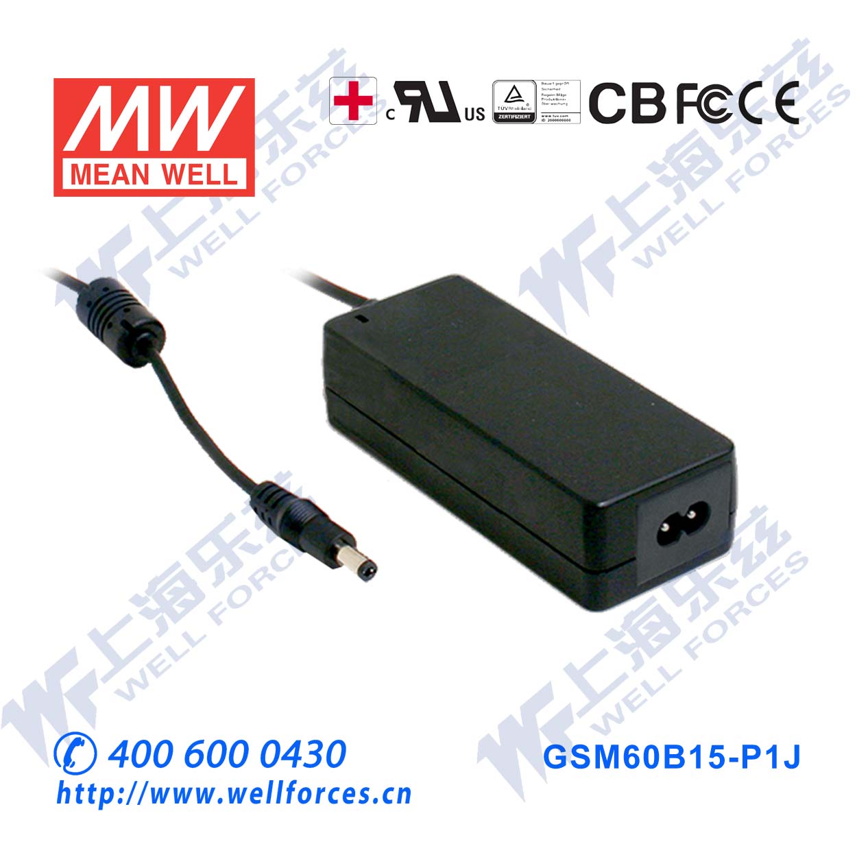 明纬医疗级电源适配器 GSM60B15-P1J 60W 15V4A 两插|重0.34