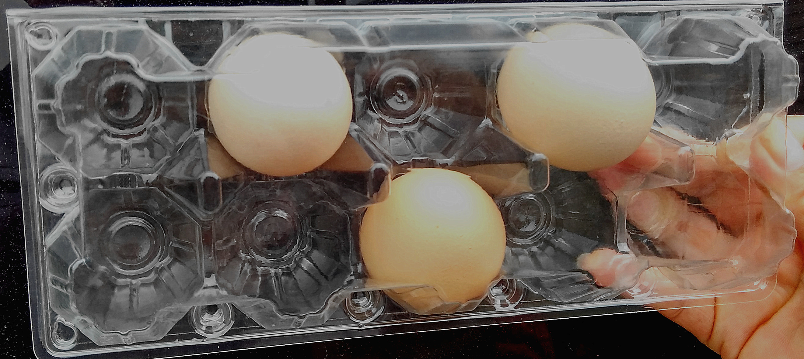 10枚中小号蛋盒鸡蛋包装盒土鸡蛋托盘塑料蛋托吸塑蛋托鸡蛋盒高扣折扣优惠信息