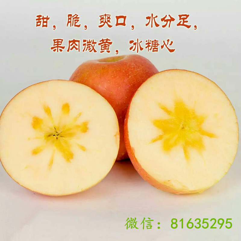 山西运城新鲜水果苹果纯天然糖心红富士高原红70-75#支持各地批发
