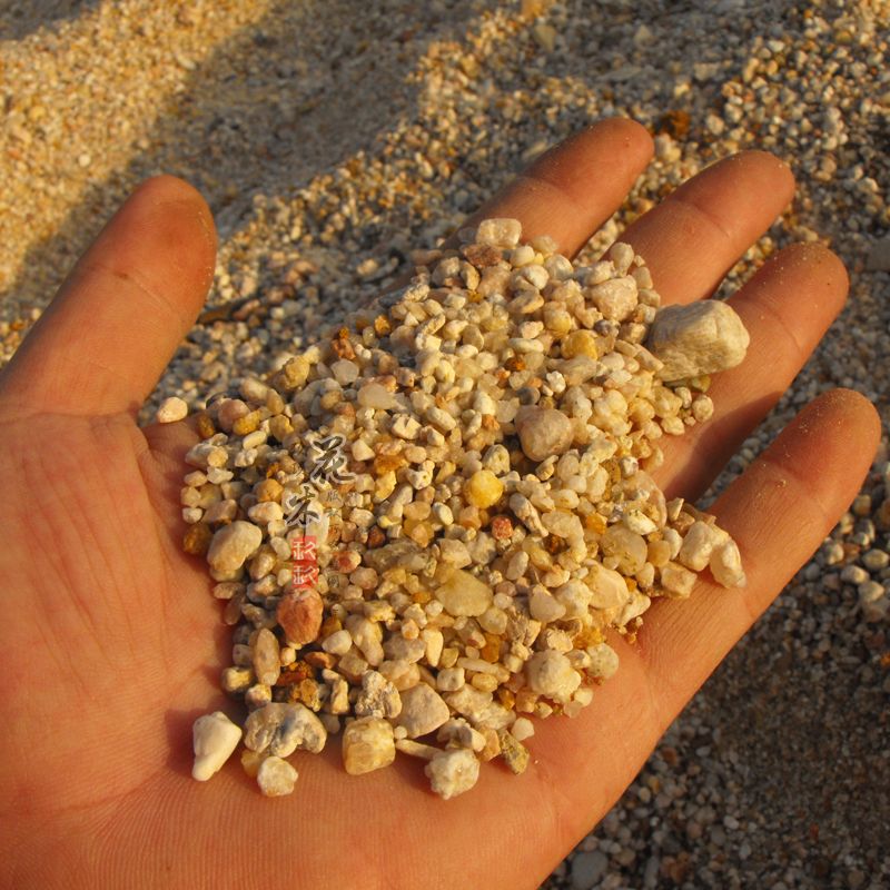 天然河泥沙 粗沙3.5斤包邮 多肉营养土铺面小石子 沙质土植料