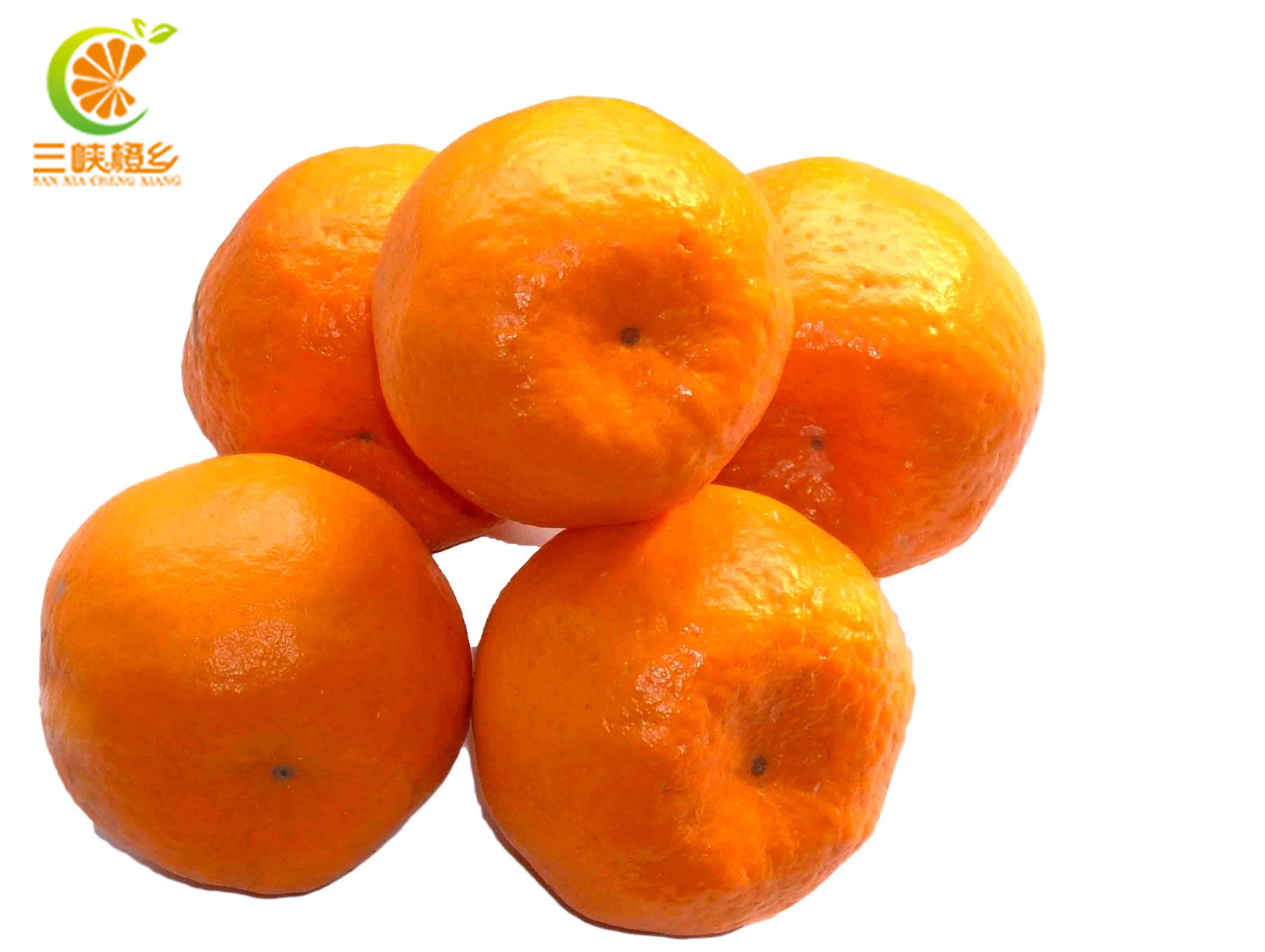 新鲜水果秭归脐橙血橙秭归椪柑超赣南褚橙10斤装孕妇水果宝宝水果
