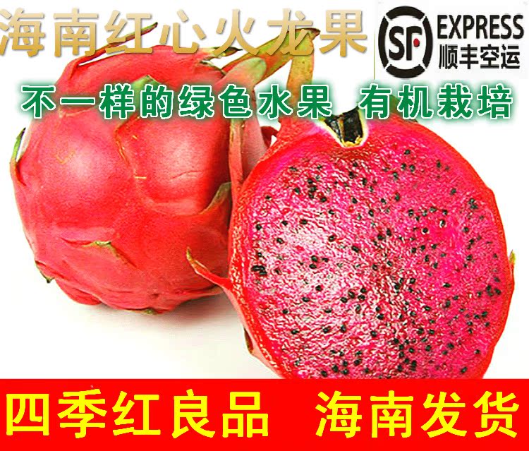 海南新鲜水果三亚红心火龙果绿色水果果地现摘直发5斤顺丰包邮