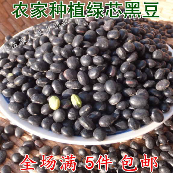绿芯黑豆 农家自产黑豆粗粮 纯天然绿心 补肾乌发养生250g