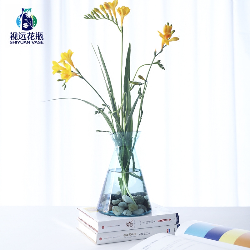 蓝调清新玻璃壶花器欧美式现代简约彩色透明水培花瓶卧室餐桌摆设