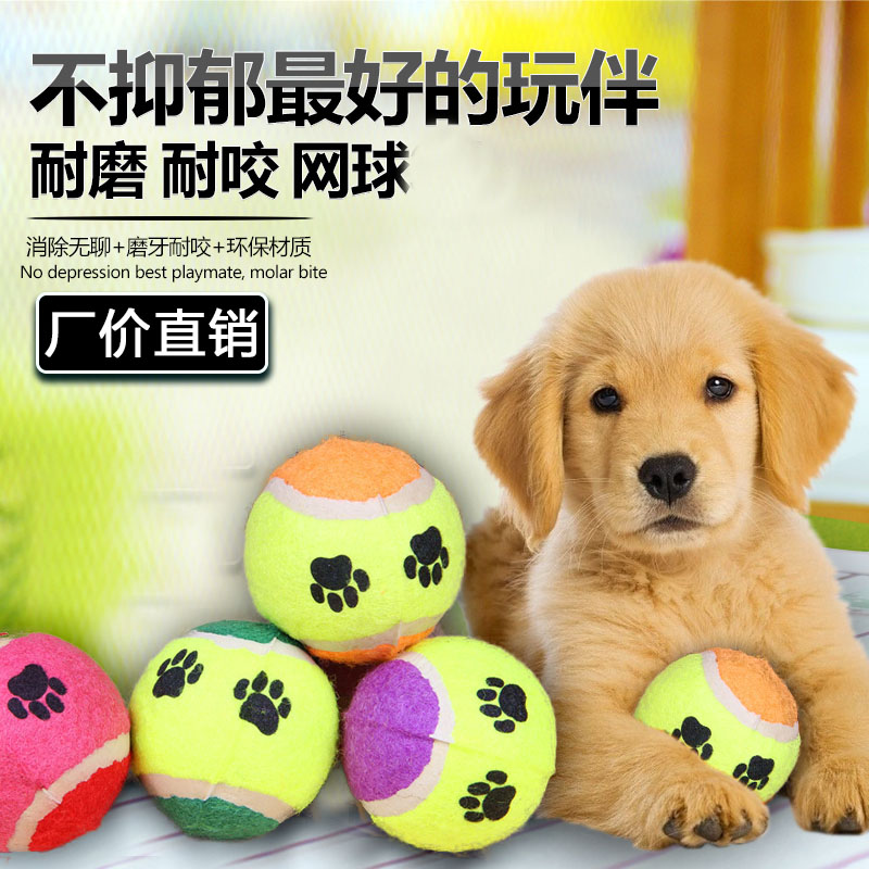 狗狗玩具训练耐咬球金毛泰迪萨摩耶磨牙猫玩具狗网球玩具宠物玩具折扣优惠信息