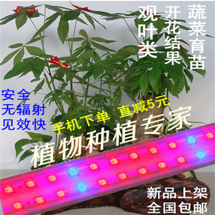 LED植物生长灯红蓝光大棚室内多肉蔬菜育苗花卉水草补光灯管包邮