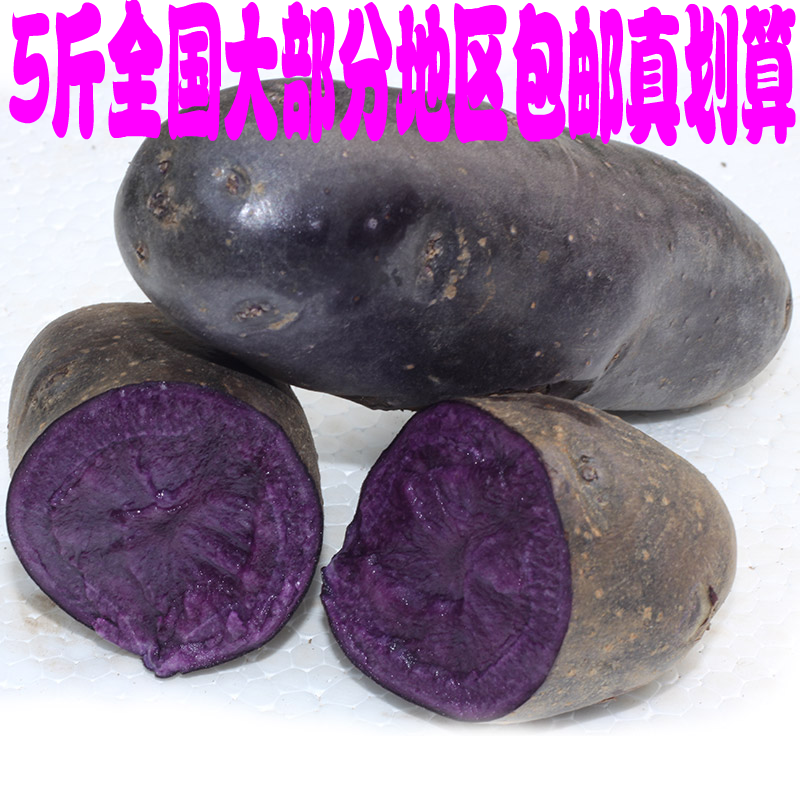 色有机蔬菜黑金刚土豆黑土豆紫土豆洋芋非紫薯新鲜5斤包邮折扣优惠信息