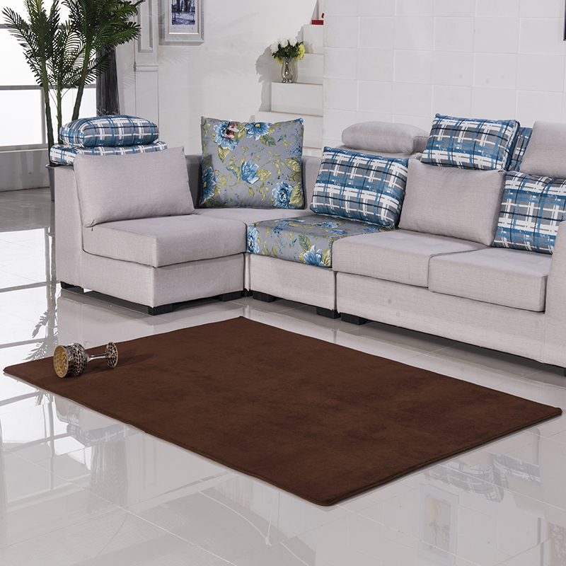 珊瑚绒加厚地毯现代简约卧室客厅茶几沙发满铺床边飘窗长方形地毯