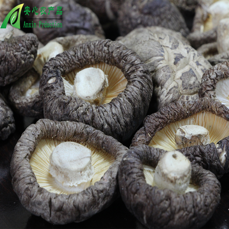 客家古田特产南北干货 农家自产干香菇家用特级野生菌菇500g