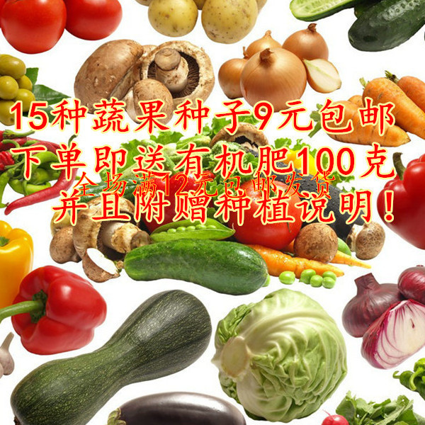 四季蔬菜豌豆种子  阳台菜籽 园艺盆栽种子套餐 阳台庭院种植折扣优惠信息