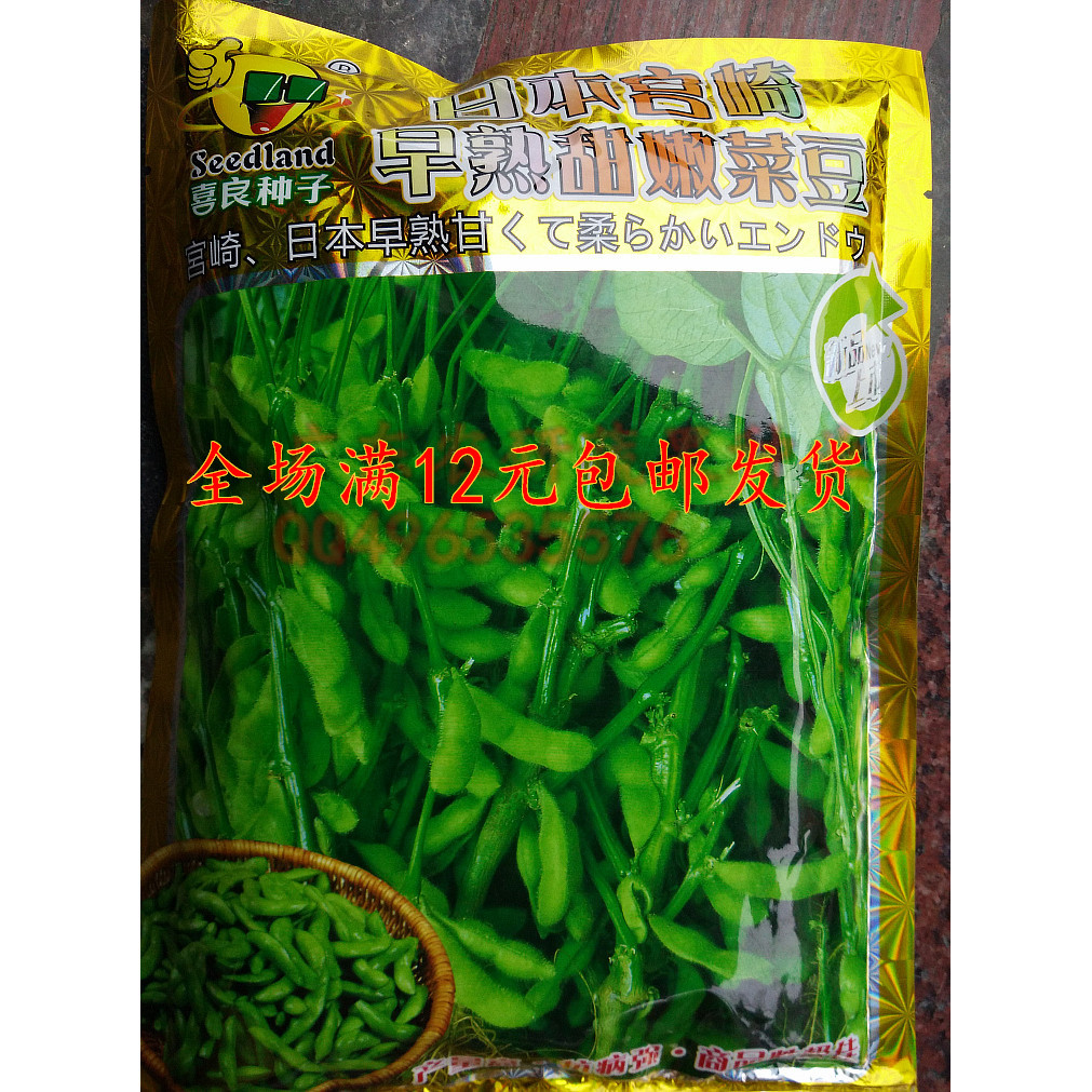 特早王菜豆/极早55/生育期50-60天原装蔬菜种子毛豆种子黄豆籽