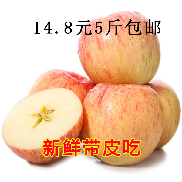 山东红富士 新鲜苹果 新鲜红苹果5斤装 有机水果 包邮