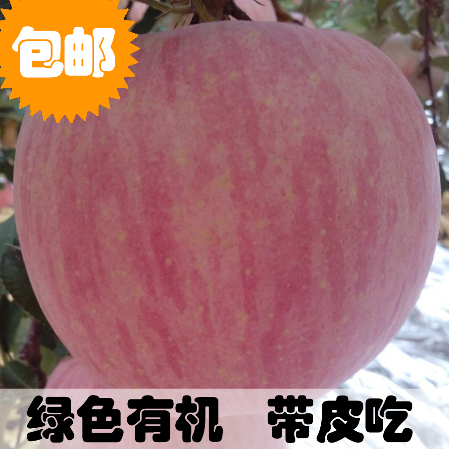 恒兴果业 静宁苹果水果新鲜甘肃静宁红富士苹果75#特产批发