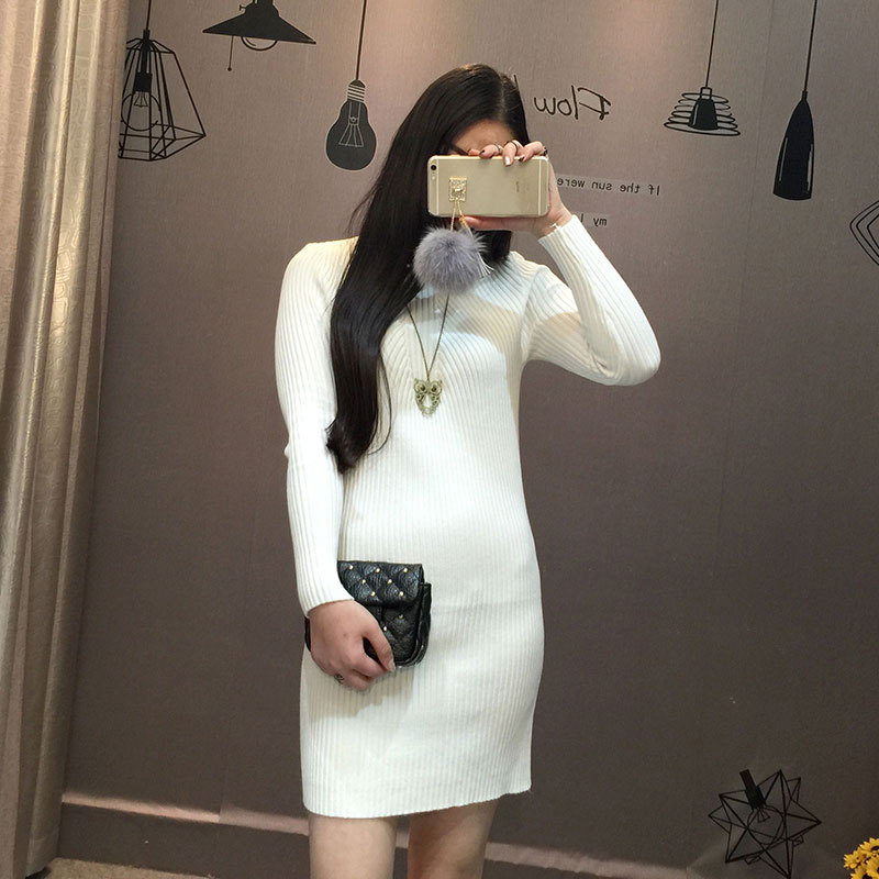 2015针织连衣裙女秋装新款韩版修身半高领套头打底连衣裙长袖纯色