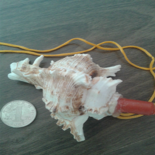 批发海螺贝壳 螺号 儿童乐园哨子玩具 能吹响的天然海螺 工艺品折扣优惠信息