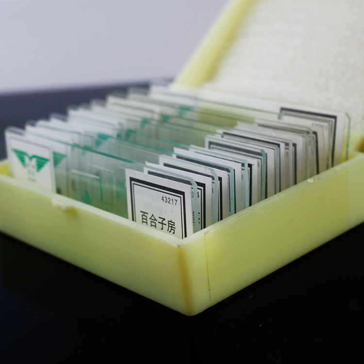 显微镜生物实验标本 11种切片标本盒装植物生物永久封片折扣优惠信息