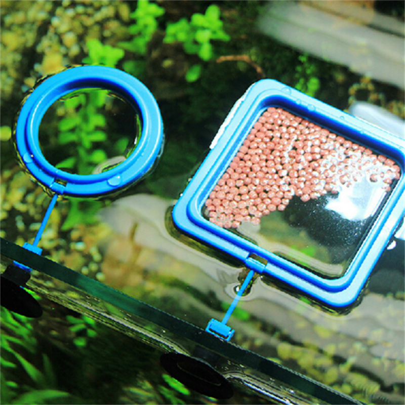 水族箱小型鱼缸喂食圈宠物乌龟方便投食喂鱼器定点投食圈特价