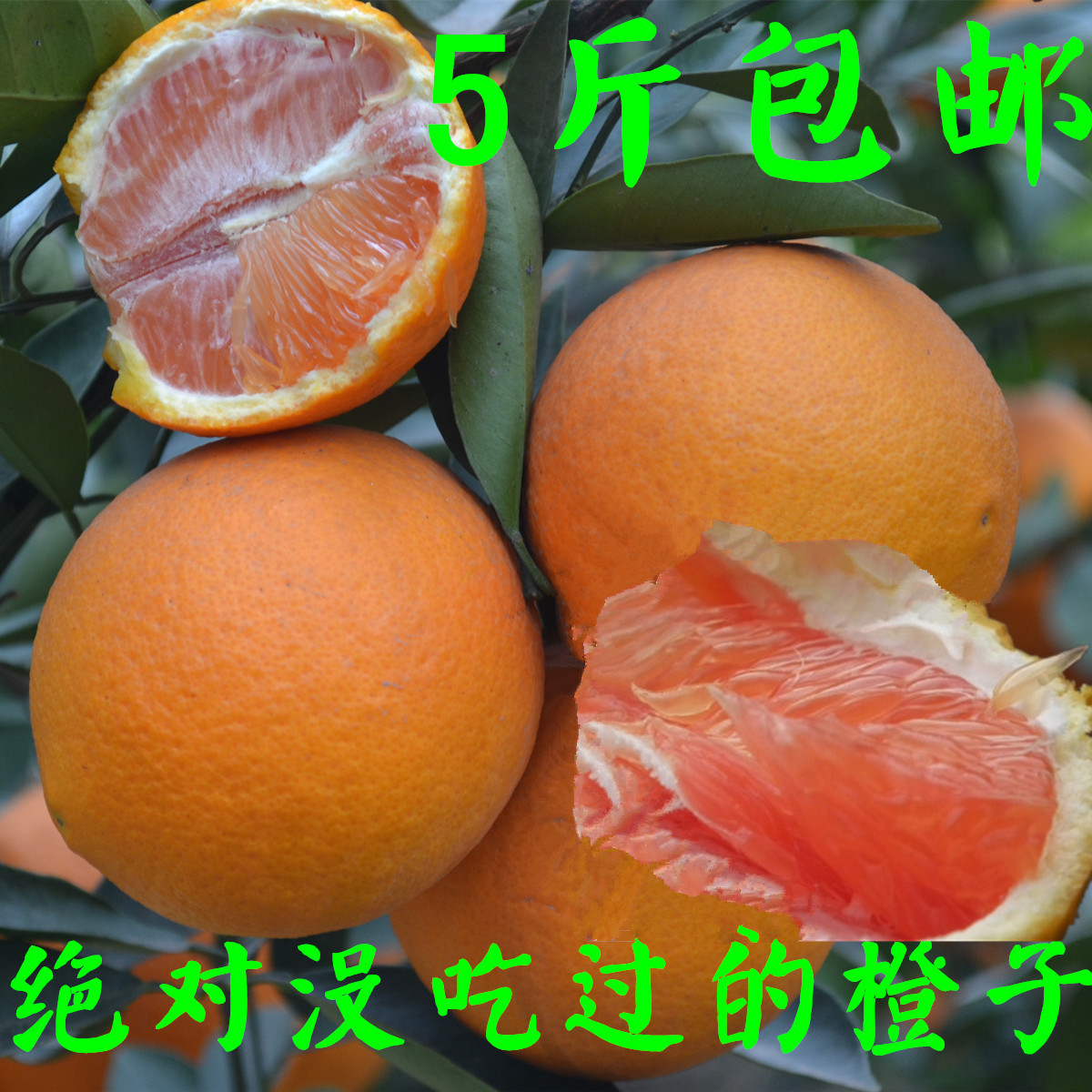 正宗秭归红肉脐橙新鲜孕妇水果甜橙子有机榨汁水果超血橙五斤包邮