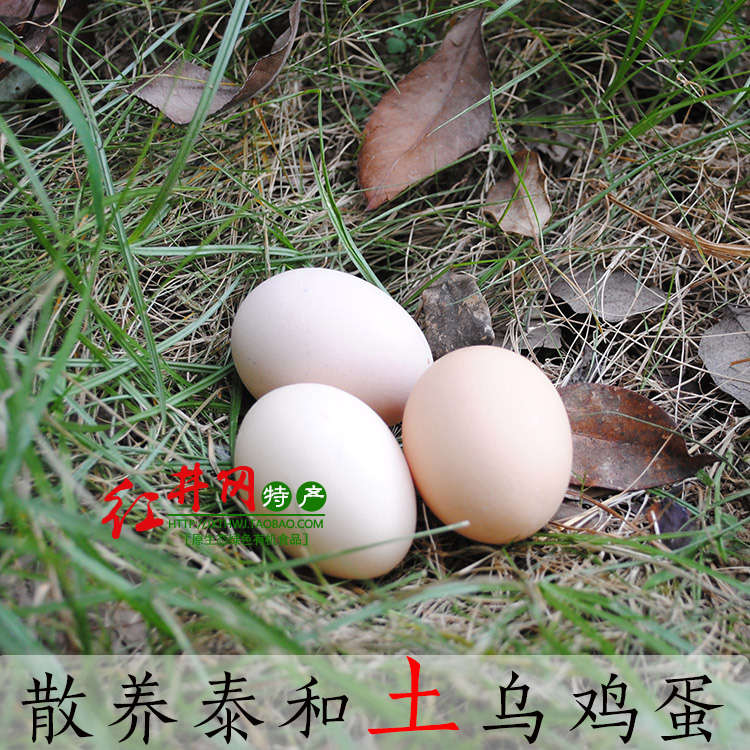 泰和乌鸡蛋乌骨鸡蛋笨鸡蛋农村土鸡蛋农家散养新鲜土鸡蛋20个包邮